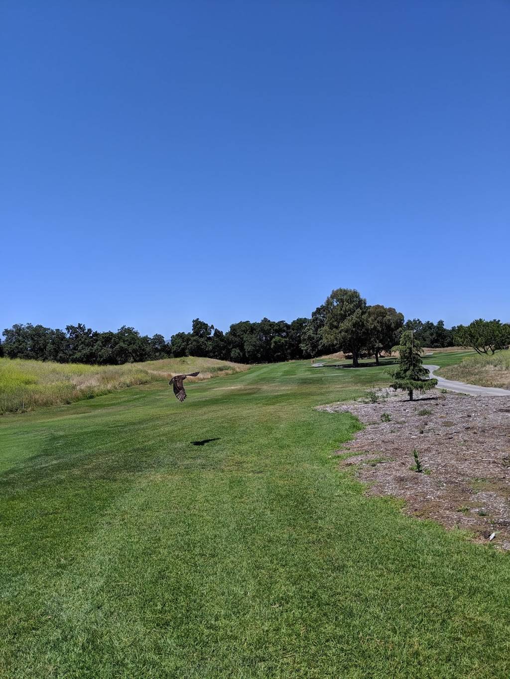 Coyote Creek Golf Club | restaurant | 1 Coyote Creek Golf Dr, Morgan Hill, CA 95037, USA | 4084631400 OR +1 408-463-1400
