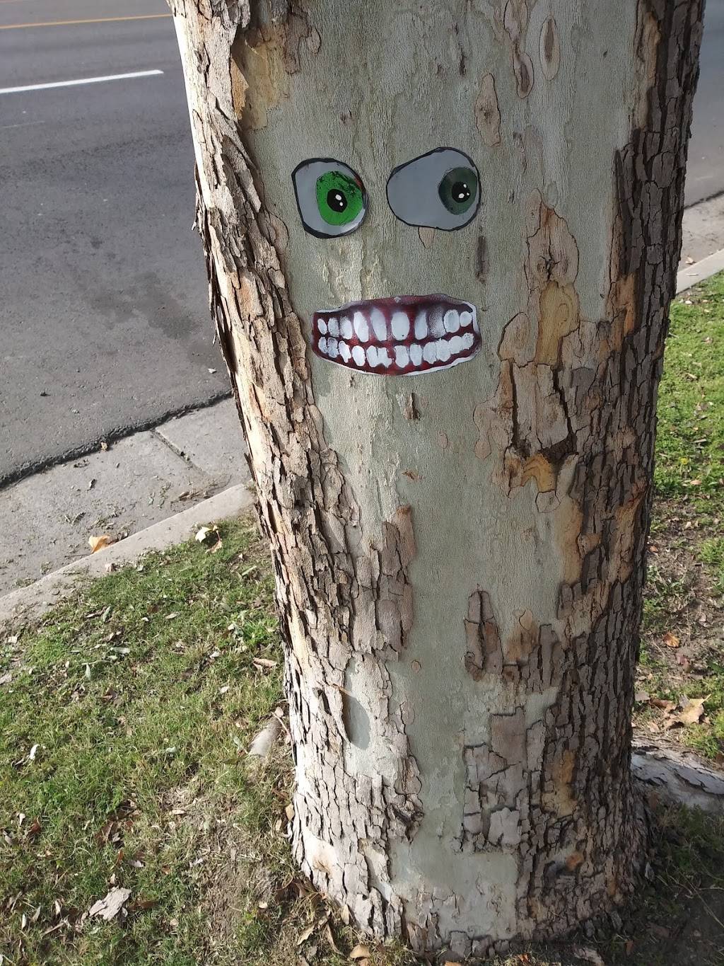 Subway | restaurant | 1400 Brundage Ln, Bakersfield, CA 93304, USA | 6613257800 OR +1 661-325-7800