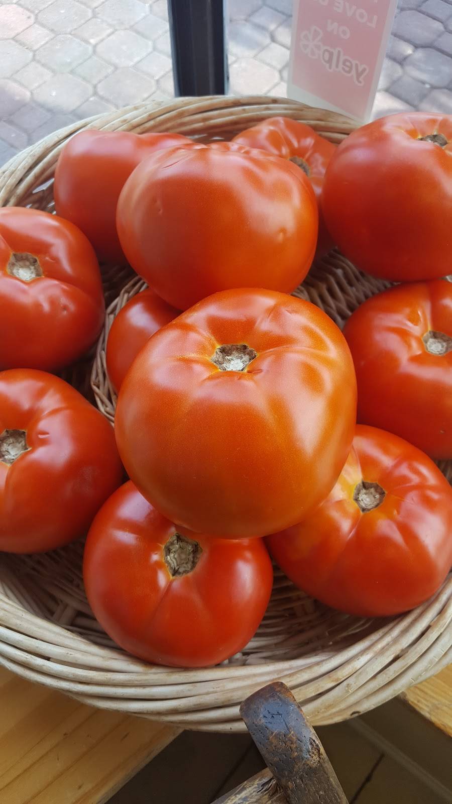 Lenny & John Subs | restaurant | 522 A Blvd, Kenilworth, NJ 07033, USA | 9083256321 OR +1 908-325-6321