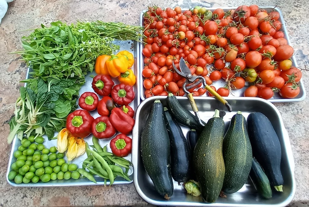 Trattoria #PodereBerti. "Italian Restaurant" | restaurant | 51 Clayton Street Lower unit, San Rafael, CA 94901, USA | 4152611787 OR +1 415-261-1787