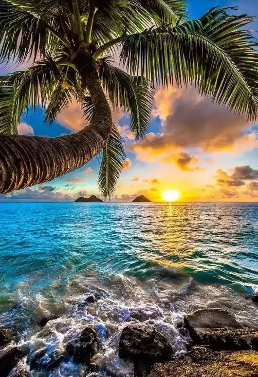 Starbucks | cafe | 88 Salem Turnpike, Norwich, CT 06360, USA | 8608896256 OR +1 860-889-6256