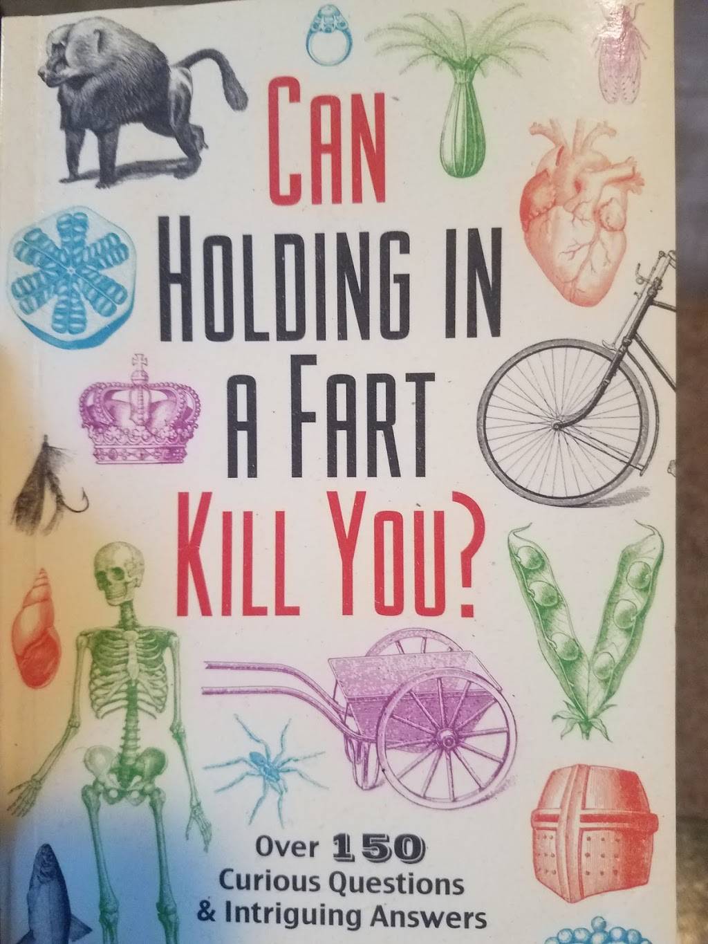 Bozrah Pizza Restaurant | restaurant | 426 Salem Turnpike #1, Bozrah, CT 06334, USA | 8608864889 OR +1 860-886-4889