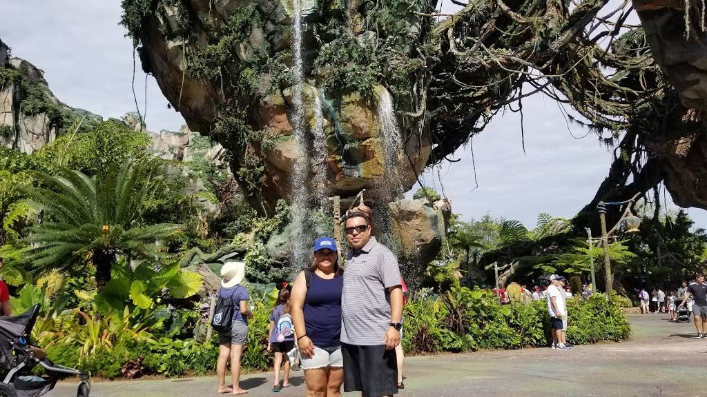 Dino-Bite Snacks | meal takeaway | Kissimmee, FL 34747, USA | 4078242222 OR +1 407-824-2222