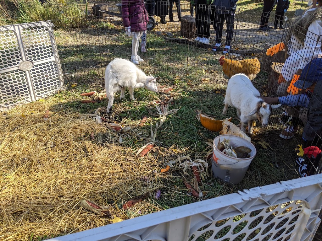 Detroit Farm & Cider | restaurant | 1600 Lawrence St, Detroit, MI 48206, USA | 3139150057 OR +1 313-915-0057