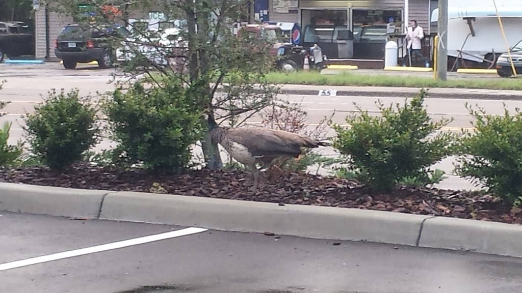 Taco Bell | meal takeaway | 2990 Gulf to Bay Blvd, Clearwater, FL 33759, USA | 7277911710 OR +1 727-791-1710