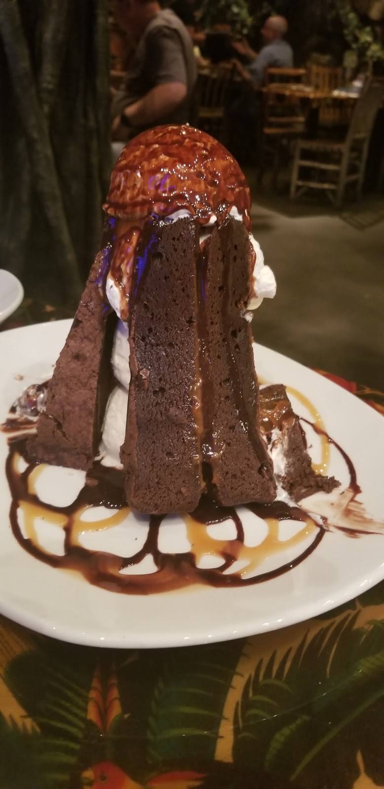 Rainforest Cafe | restaurant | 5310 Seawall Blvd, Galveston, TX 77551, USA | 4097446000 OR +1 409-744-6000