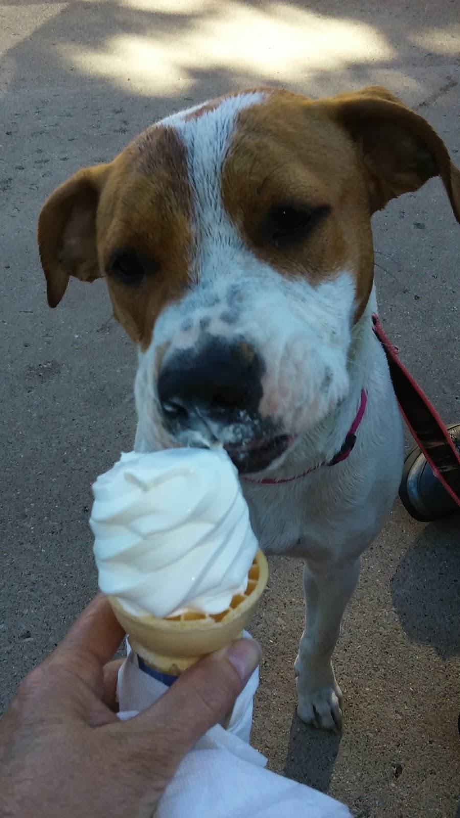 Marias Italian Restaurant | restaurant | 586 145th Ave, Caledonia, MI 49316, USA | 6168919571 OR +1 616-891-9571