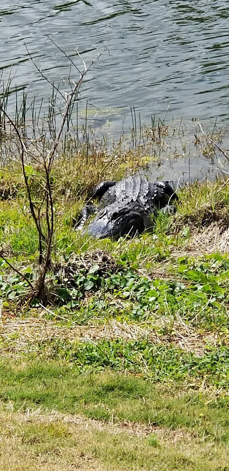 Indian River Preserve Golf Club | restaurant | 3950 Clubhouse Drive, Mims, FL 32754, USA | 3213852099 OR +1 321-385-2099