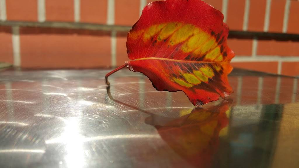 Tagliaferris Delicatessen | meal takeaway | 1701 Grant Ave, Novato, CA 94945, USA | 4158979677 OR +1 415-897-9677