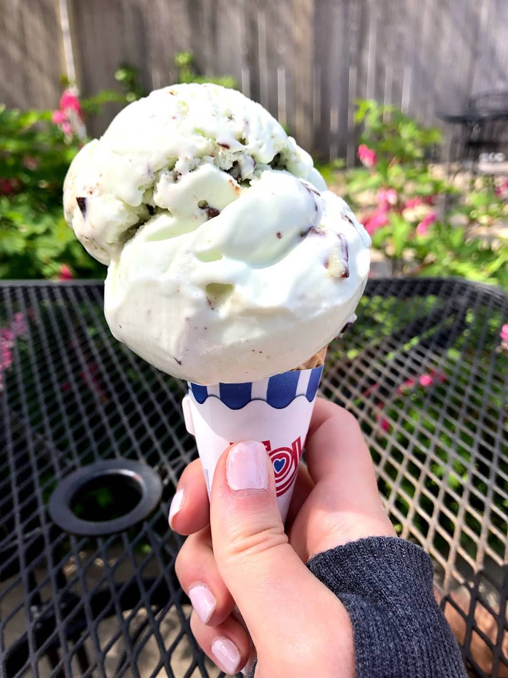 Savory & the Sweet Escape | bakery | 316 US-6, Truro, MA 02666, USA | 5084872225 OR +1 508-487-2225