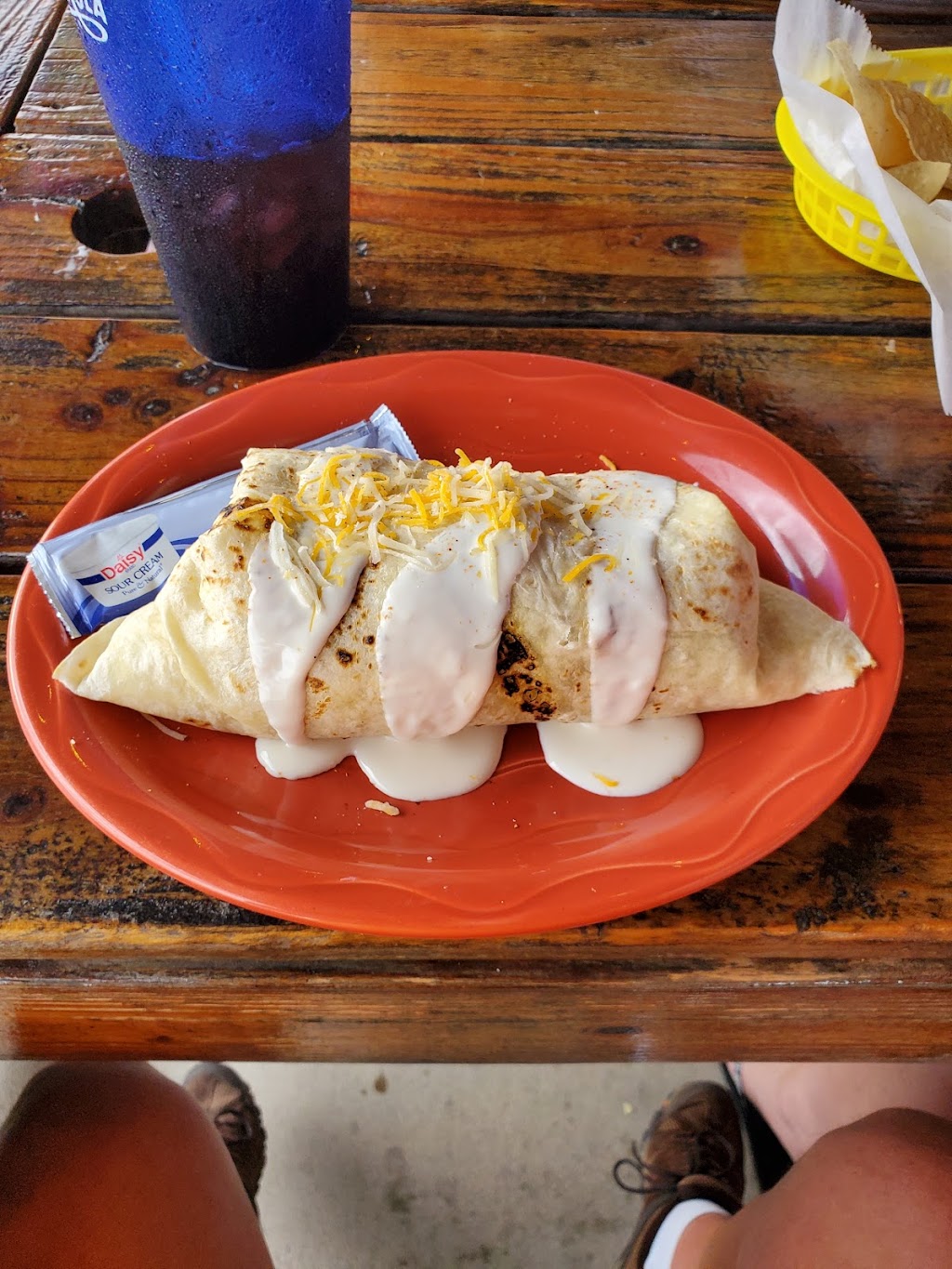 Muy Wayne Os | restaurant | 303 S Arnold Rd, Panama City Beach, FL 32413, USA | 8502496830 OR +1 850-249-6830