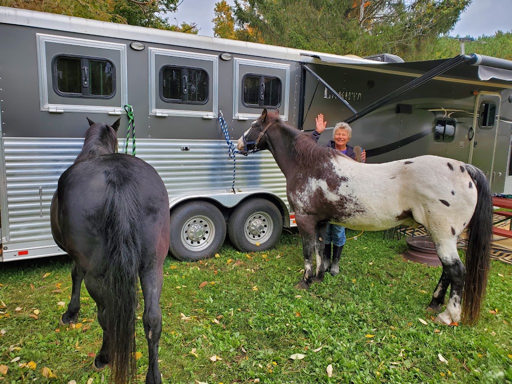 9 Mile All Sport Resort | restaurant | N5751 WI-55, White Lake, WI 54491, USA | 7154848908 OR +1 715-484-8908