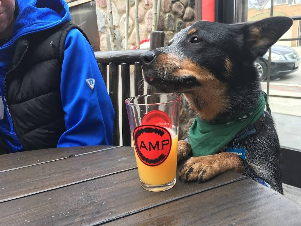 Camp Bar Tosa | restaurant | 6600 W North Ave, Wauwatosa, WI 53213, USA | 4147633793 OR +1 414-763-3793