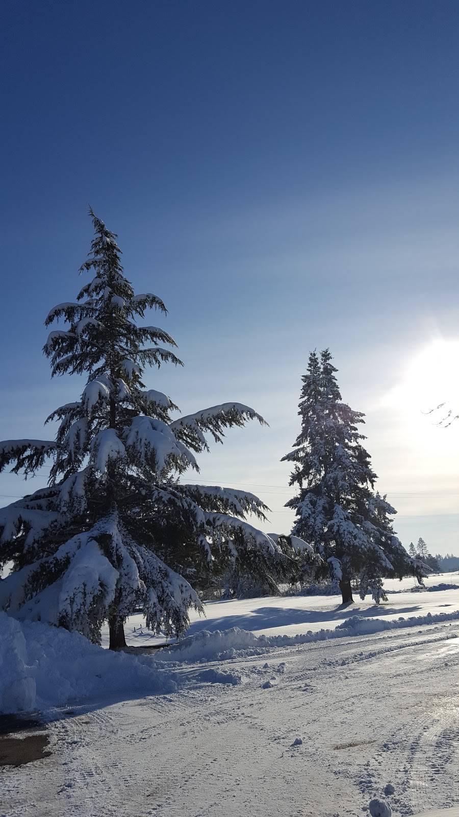 Meriwether National Golf Club | restaurant | 5200 SW Rood Bridge Rd, Hillsboro, OR 97123, USA | 5036484143 OR +1 503-648-4143