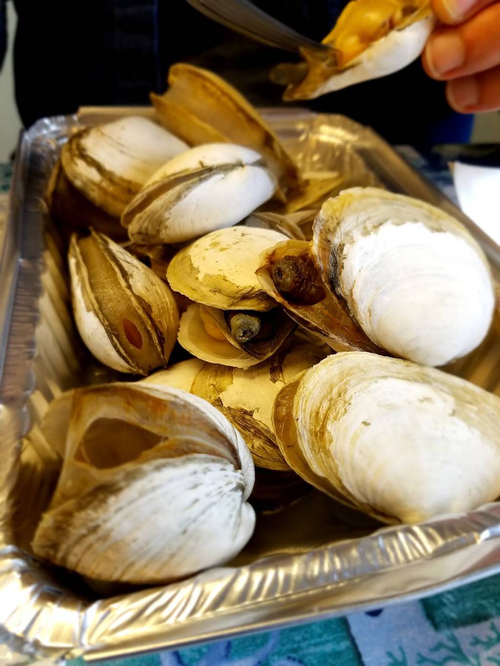 Rock Bottom Seafood | restaurant | 2234 State Rd, Plymouth, MA 02360, USA | 5088886678 OR +1 508-888-6678