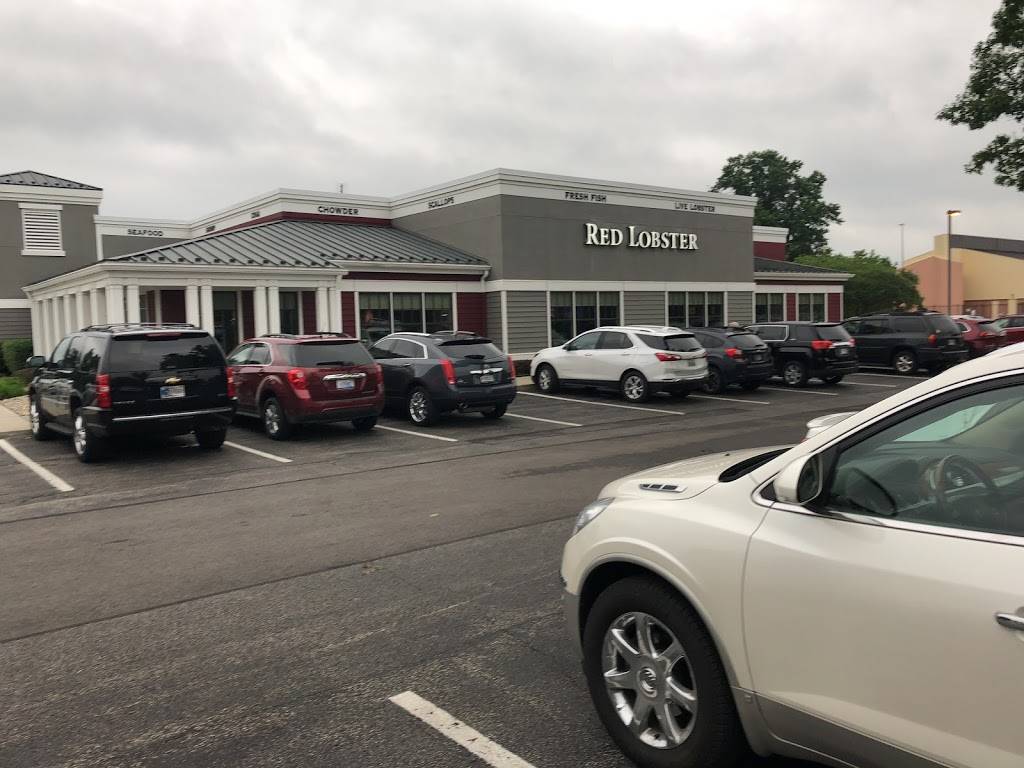 Red Lobster | restaurant | 3009 Brittany Ct, Elkhart, IN 46514, USA | 5742644115 OR +1 574-264-4115