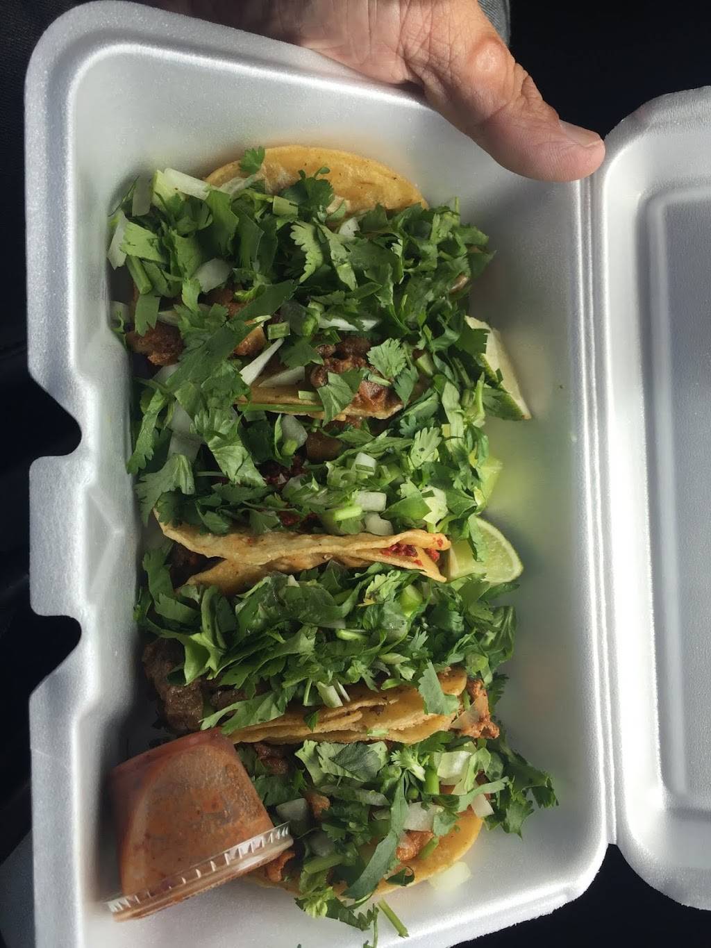 Cesars Tacos | restaurant | 4276 Tamiami Trail, Port Charlotte, FL 33980, USA | 9416233027 OR +1 941-623-3027