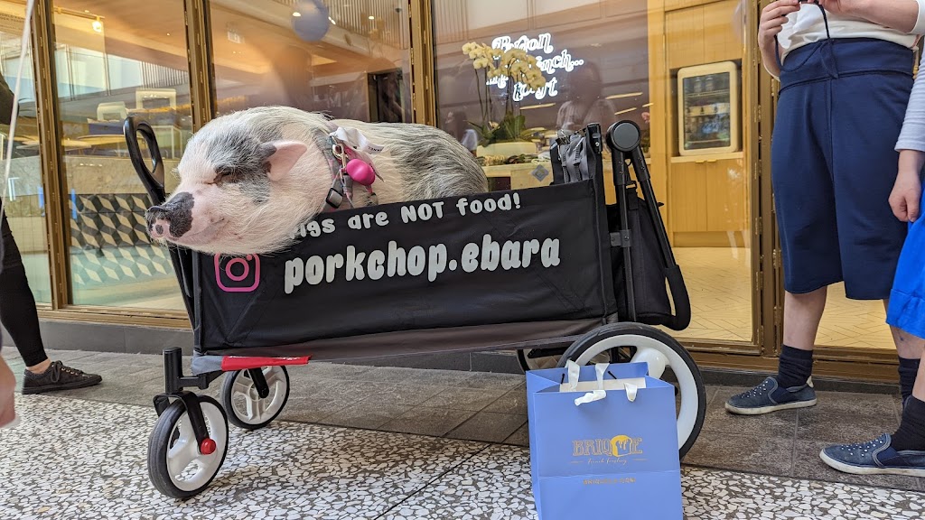 Brique French Toastery | meal takeaway | 10250 Santa Monica Blvd Suite 1705, Los Angeles, CA 90067, USA | 3108682030 OR +1 310-868-2030