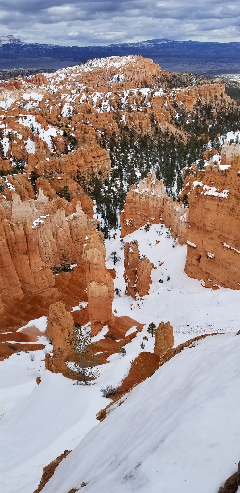 Del Taco | meal takeaway | 1091 N Bluff St Bldg. 500, St. George, UT 84770, USA | 4356523826 OR +1 435-652-3826