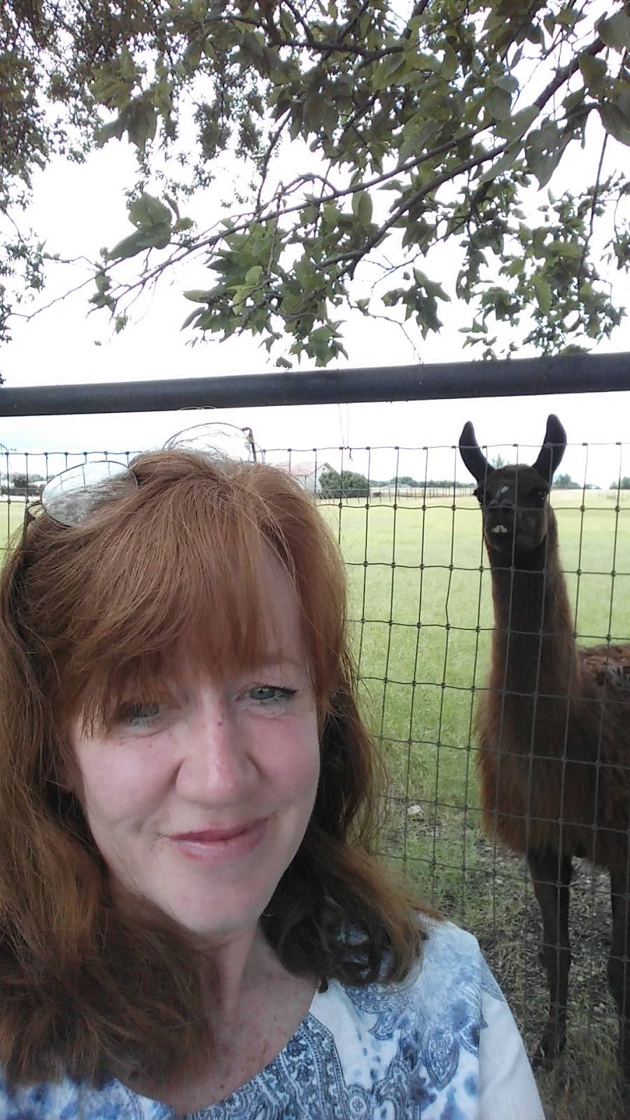 Henderson Chicken Cedar Hill locations | restaurant | 635 E Pleasant Run Rd, Cedar Hill, TX 75104, USA | 9722910777 OR +1 972-291-0777