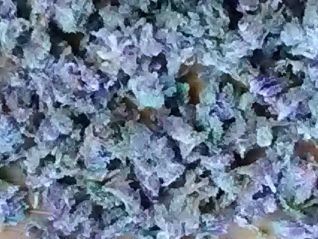 Taco Bell | meal takeaway | 7047 N Saginaw Rd, Mt Morris, MI 48458, USA | 8106876601 OR +1 810-687-6601