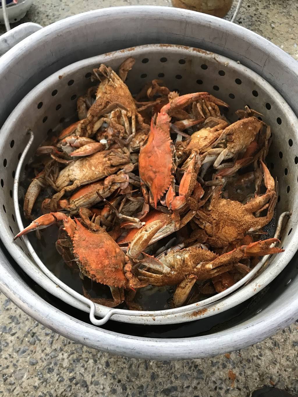 Blue Ridge Seafood Restaurant | restaurant | 15704 Lee Hwy, Gainesville, VA 20155, USA | 7037549852 OR +1 703-754-9852