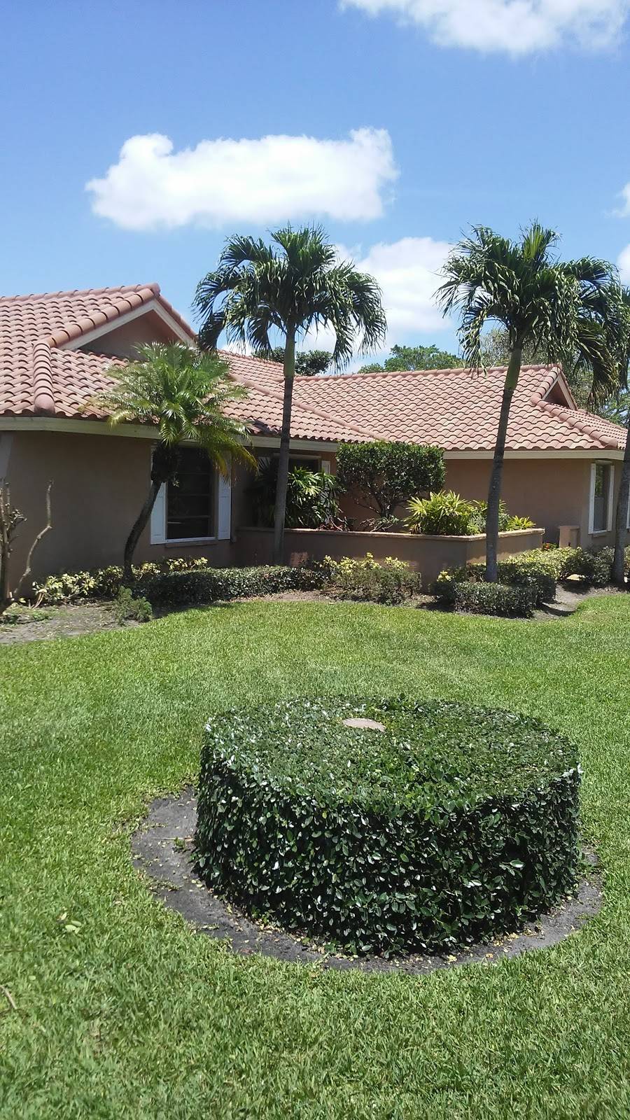 Pine Tree Golf Club | restaurant | 10600 Pine Tree Terrace, Boynton Beach, FL 33436, USA | 5617326404 OR +1 561-732-6404