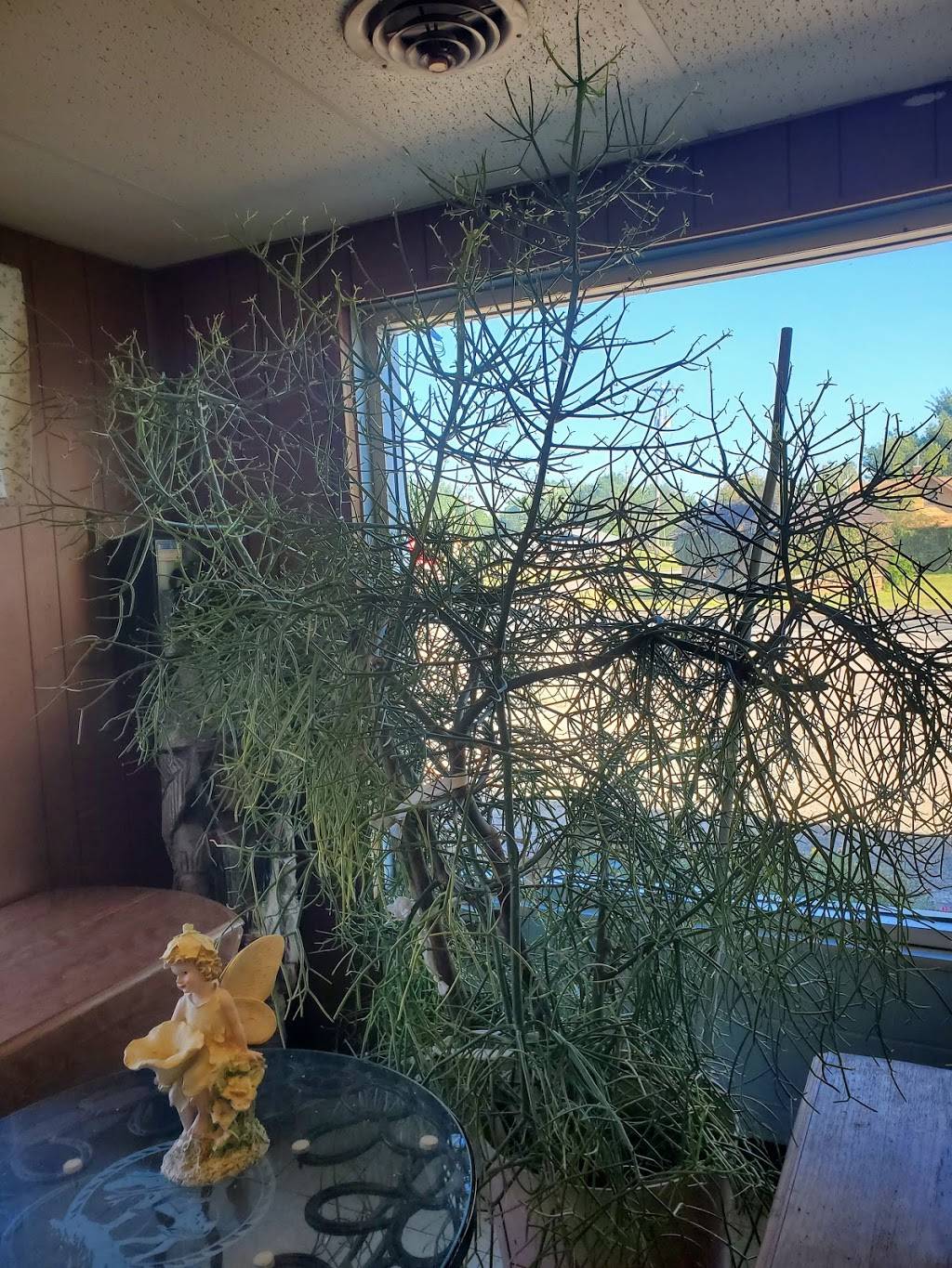 Jacks | restaurant | US-56, Overbrook, KS 66524, USA | 7856657624 OR +1 785-665-7624