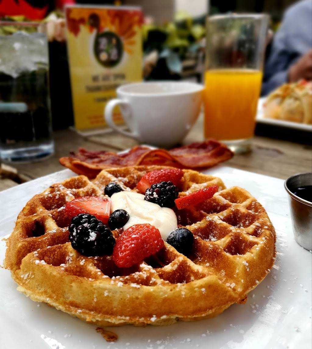 Breakfast Kitchen Bar | restaurant | 15147 N Scottsdale Rd h133, Scottsdale, AZ 85254, USA | 4803616698 OR +1 480-361-6698