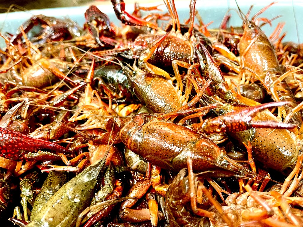 Boiled Station | restaurant | 10700 S Pennsylvania Ave Suite 100B, Oklahoma City, OK 73170, USA | 4055481402 OR +1 405-548-1402