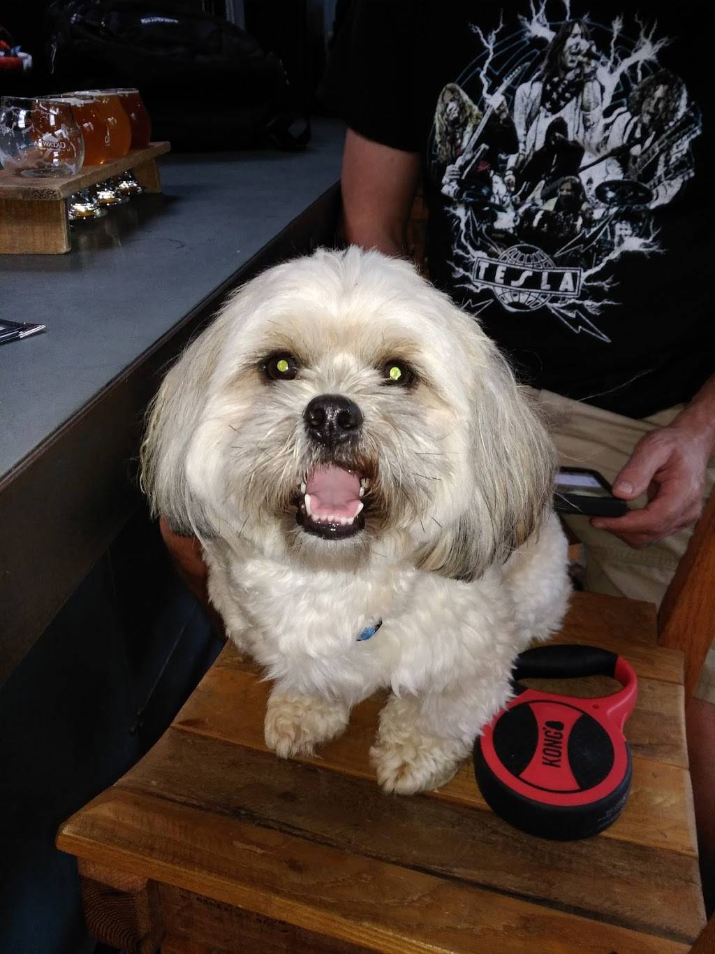 Dirty Jack’s | restaurant | 23 Buxton Ave, Asheville, NC 28801, USA | 8282525502 OR +1 828-252-5502