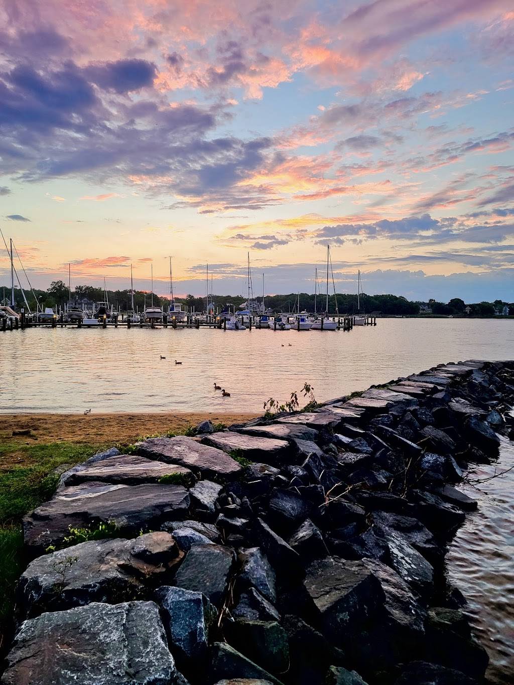 Starbucks | cafe | 951 Bay Ridge Rd, Annapolis, MD 21403, USA | 4109901120 OR +1 410-990-1120