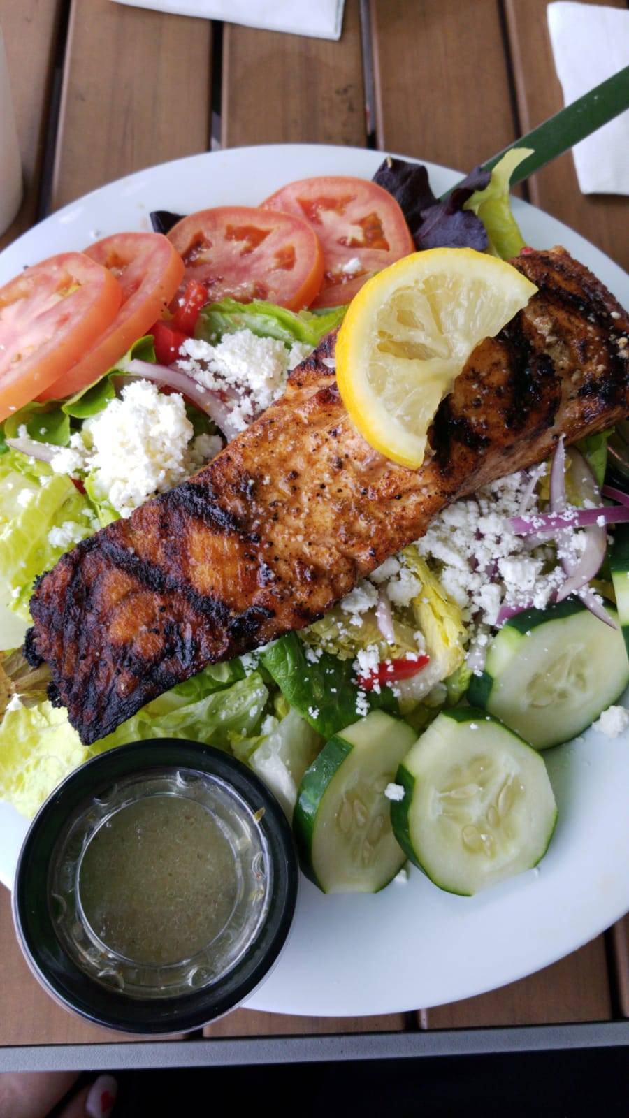 Tazikis Mediterranean Cafe | restaurant | 3825 Northdale Blvd, Tampa, FL 33624, USA | 8138674747 OR +1 813-867-4747
