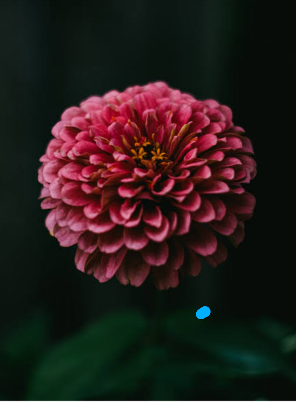 Dominos | restaurant | 1826 E Richards St, Douglas, WY 82633, USA | 3076242020 OR +1 307-624-2020