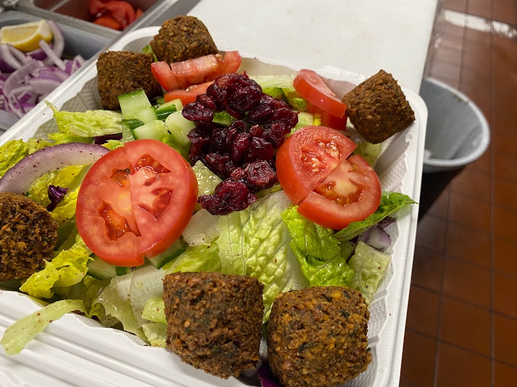 Miami Kabab | restaurant | 10422 W Atlantic Blvd, Coral Springs, FL 33071, USA | 9548003874 OR +1 954-800-3874