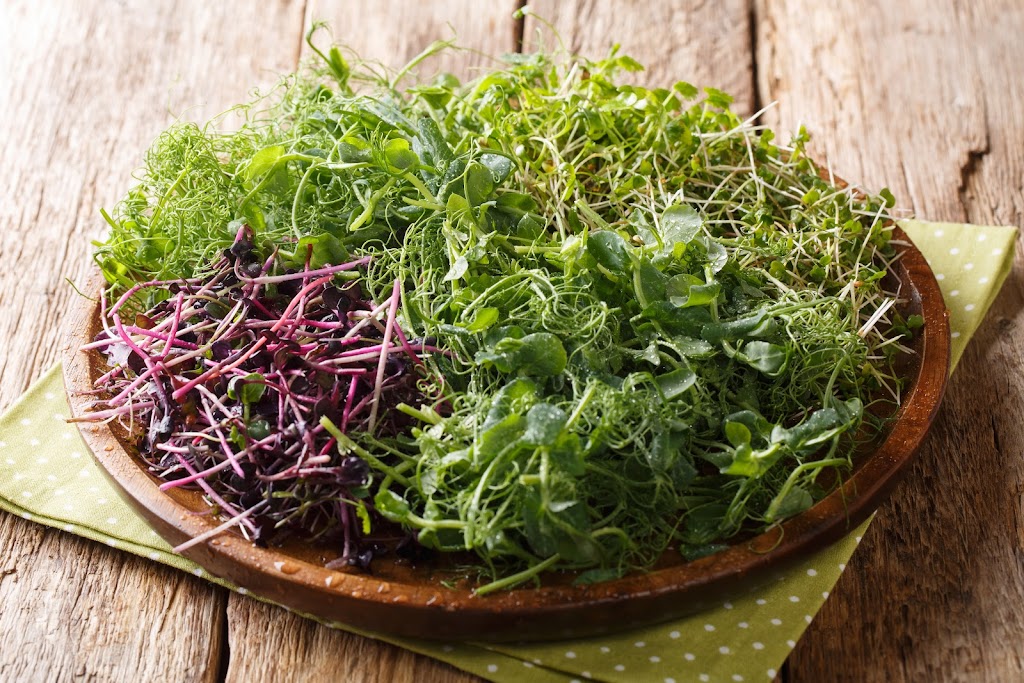 Revity Farms | restaurant | 4461 Eatons Creek Rd, Nashville, TN 37218, USA | 6159331886 OR +1 615-933-1886