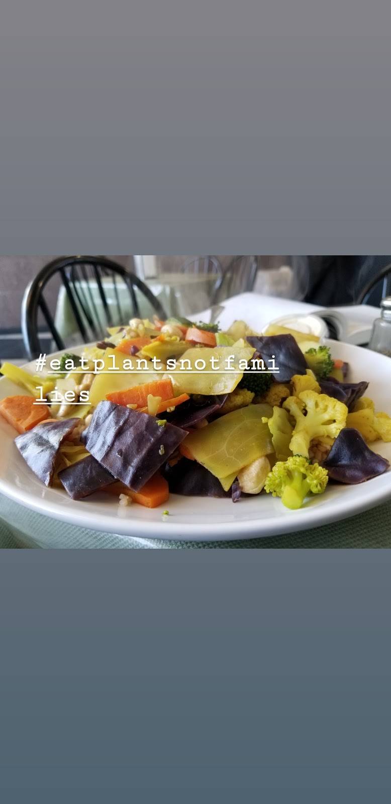 Vegetarian Express | restaurant | 4747 N Damen Ave, Chicago, IL 60625, USA | 7739891030 OR +1 773-989-1030