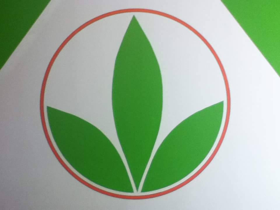 VIDA ACTIVA HERBALIFE | meal takeaway | 705 Collins St, Joliet, IL 60432, USA | 8152124595 OR +1 815-212-4595