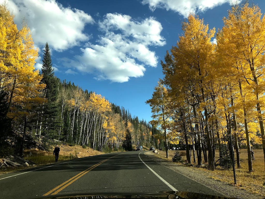 Mansker Station Pub & Pizza | restaurant | 35151 CO-14, Walden, CO 80480, USA | 9707234222 OR +1 970-723-4222