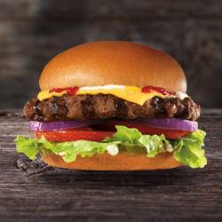 Hardees | restaurant | 2301 Pruden Blvd, Suffolk, VA 23434, USA | 7579347641 OR +1 757-934-7641