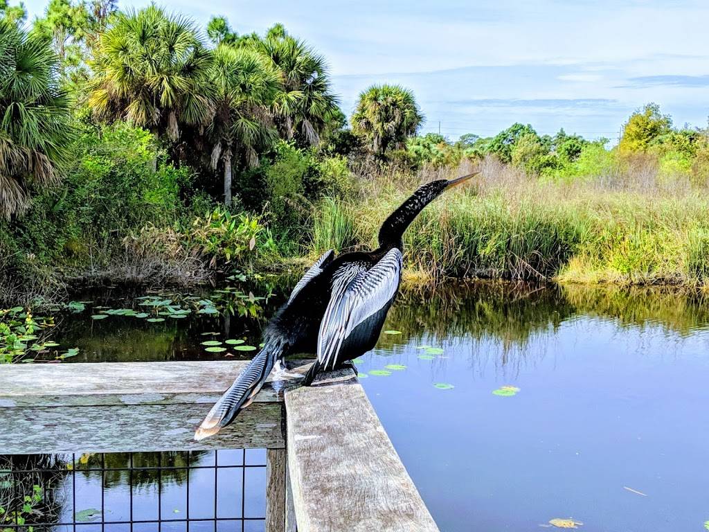 Casita Kramerica at Del Boca Vista | restaurant | 6831 Livingston Woods Ln, Naples, FL 34109, USA | 7274918097 OR +1 727-491-8097