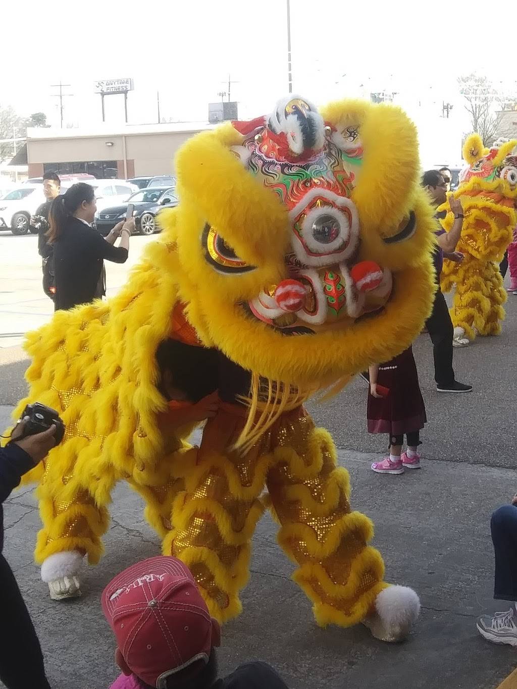 Little Saigon Restaurant | restaurant | 11224 Florida Blvd, Baton Rouge, LA 70815, USA | 2252732445 OR +1 225-273-2445