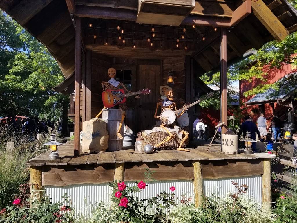 Bengtsons Pumpkin Farm and Fall Fest | meal takeaway | 13341 W 151st St, Homer Glen, IL 60491, USA | 7083013276 OR +1 708-301-3276