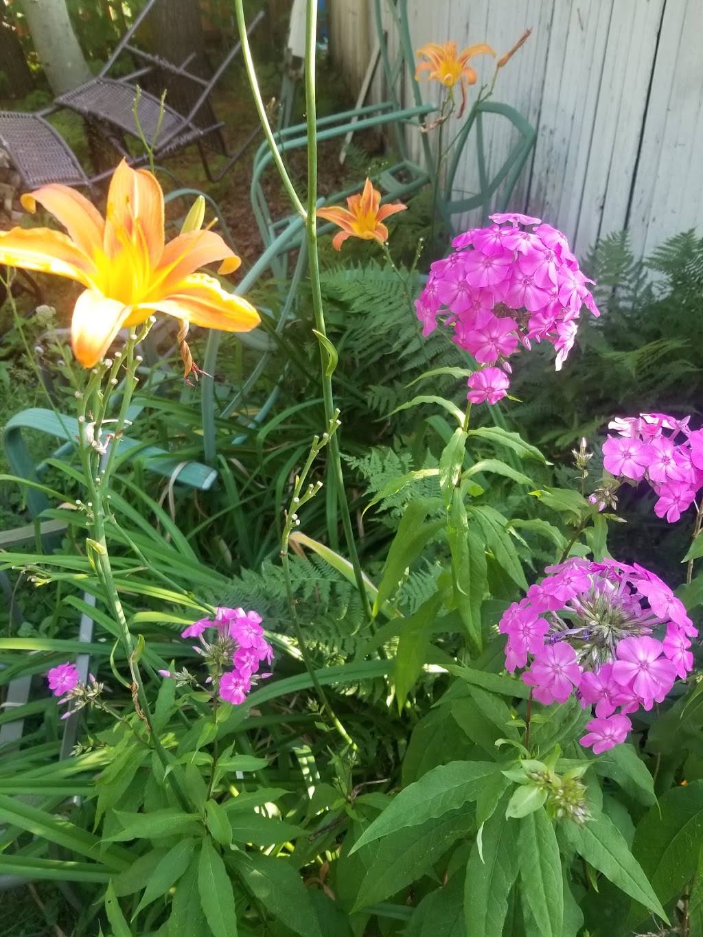 Restaurant Le Glouton | restaurant | 582 Rue Principale O, Farnham, QC J2N 1K8, Canada | 4503371180 OR +1 450-337-1180