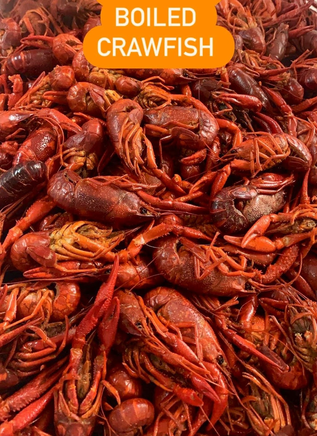 Buddys Quick Stop & Seafood | restaurant | 505 W Oak St, Amite City, LA 70422, USA | 9857483767 OR +1 985-748-3767