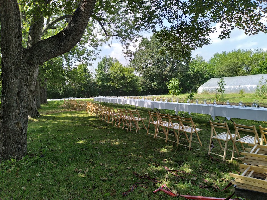 Detroit Farm & Cider | restaurant | 1600 Lawrence St, Detroit, MI 48206, USA | 3139150057 OR +1 313-915-0057