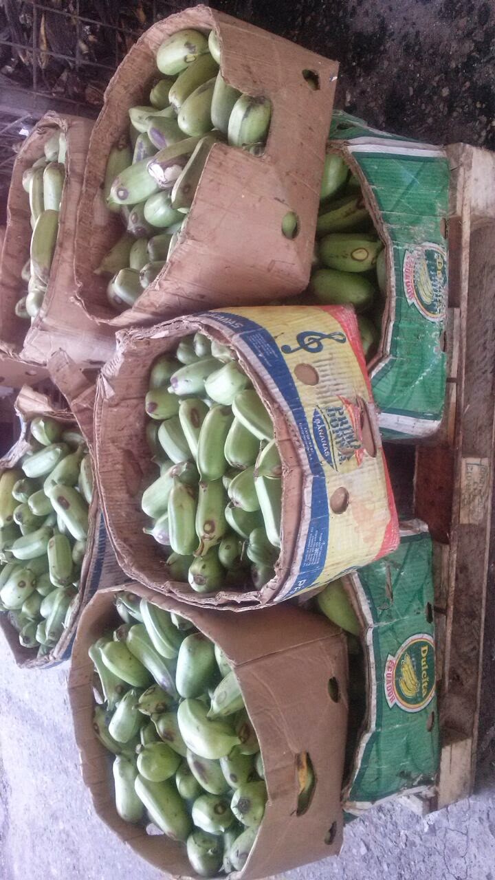 Soitgar | meal takeaway | 8424 NW 56th St, Miami, FL 33166, USA | 5617056122 OR +1 561-705-6122