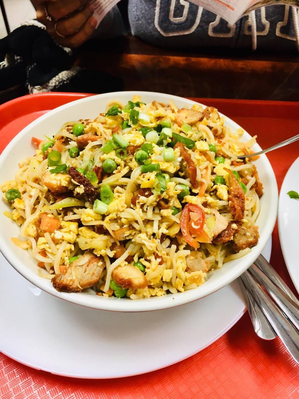 Carrot Indo-Chinese Restaurant | restaurant | 285 Parsippany Rd, Parsippany, NJ 07054, USA | 9732407242 OR +1 973-240-7242