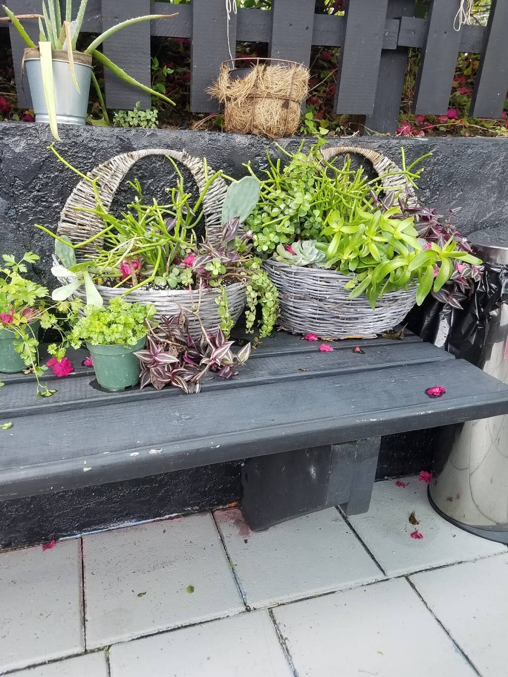 Equilibre | restaurant | 1807 N Orange Ave, Orlando, FL 32804, USA | 4079471519 OR +1 407-947-1519