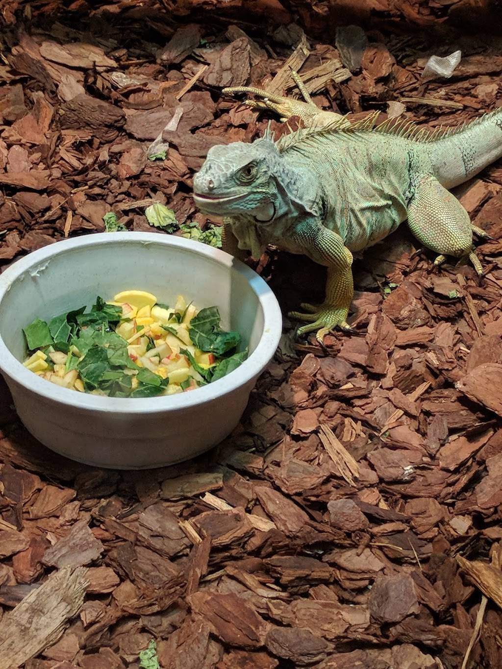 Winking Lizard | restaurant | 511 E Aurora Rd, Macedonia, OH 44056, USA | 3304676200 OR +1 330-467-6200